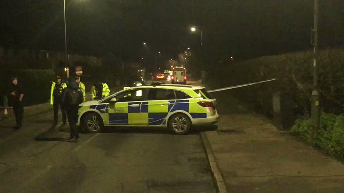 Ενσωματωμένο βίντεο