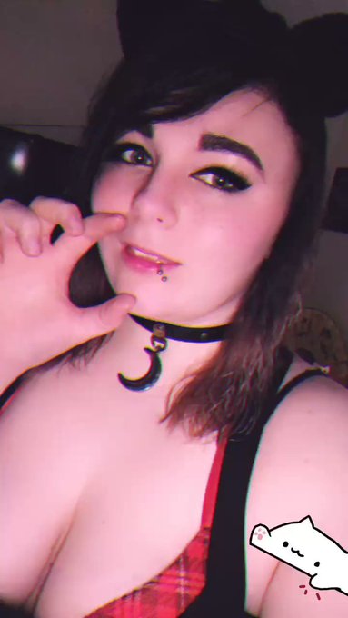 Meow 💋 #camgirlz https://t.co/xT2wQA0oQ5<a href="/tag/camgirlz"class="tags">#camgirlz</a>