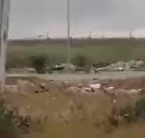 Embedded video