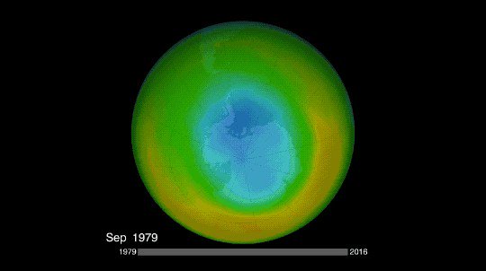 The Nobel Prize (@NobelPrize) on Twitter photo 2019-12-03 13:54:02 Happy birthday to Paul Crutzen who was awarded the Nobel Prize in Chemistry in 1955 for helping us understand why the ozone layer, which protects us from harmful UV radiation, was disappearing. GIF: NASA/NASA Ozone Watch/Katy Mersmann Happy birthday to Paul Crutzen who was awarded the Nobel Prize in Chemistry in 1955 for helping us understand why the ozone layer, which protects us from harmful UV radiation, was disappearing. GIF: NASA/NASA Ozone Watch/Katy Mersmann