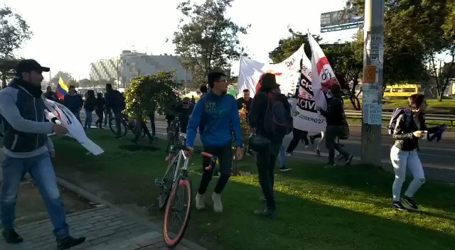 Video insertado