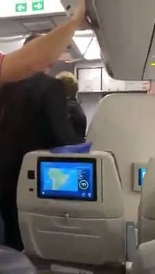 Vídeo incorporado