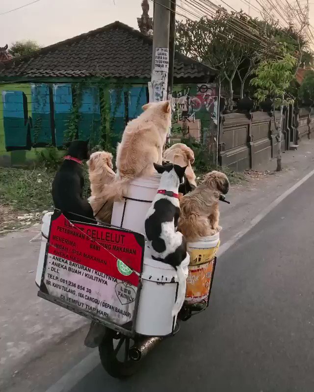 The Resistance ๐บ๐ธ (@NightlyPolitics) on Twitter photo 08/12/2019 17:36:49 Living the dream right here Living the dream right here