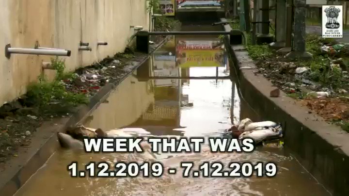 A recap of the week. It just flew away..