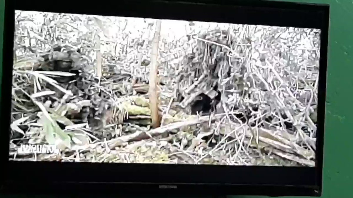 Une demo de comment ils libèrent les otages- les soldats formés à Pau- #France #G5Sahel