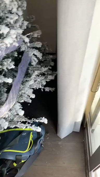 Video insertado