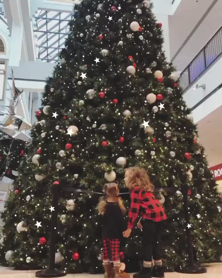 The magic of Christmas 🎄✨