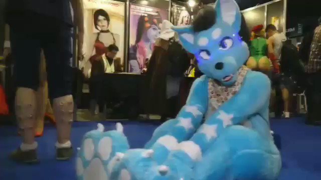 Photo 344 of 365.Hey guys I have something important to tell you.I love your paws and all of you.This video was made at Argentina Comic Con.#Fursuit #Fursuiter #Cute #Paws #Pawesome #furry #furryfandom #Footpaws #Gif #video #argcomiccon