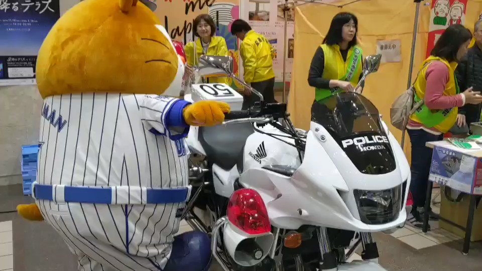 横浜DeNAベイスターズ (@ydb_yokohama) on Twitter photo 2019-12-11 07:38:57 …乗れませんでした🐾 #baystars …乗れませんでした🐾 #baystars