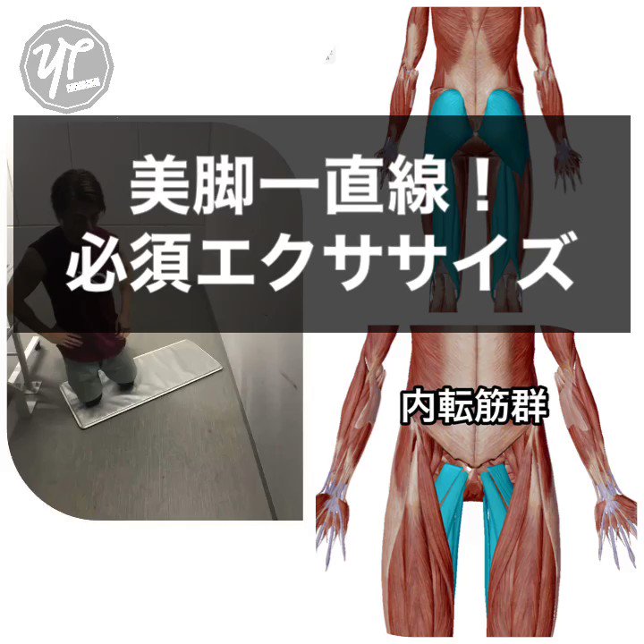 動画で見る！美脚一直線エクササイズ！！人生で一度も足が細くなったことがない人にもオススメ！
