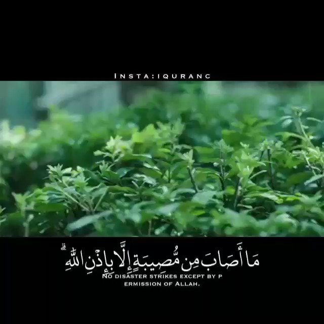 آية وحكمة Su Twitter وما تدري نفس ماذا تكسب غدا كل من يخوفك بالمستقبل لا يدري ماذا يحصل لنفسه غدا فكيف بك وبالعالم عش مطمئنا