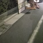 ご自由にお持ちください？さすがに怖すぎて無理!
