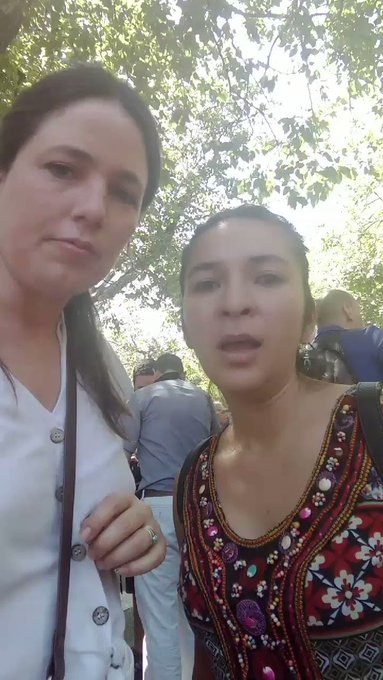 Video insertado