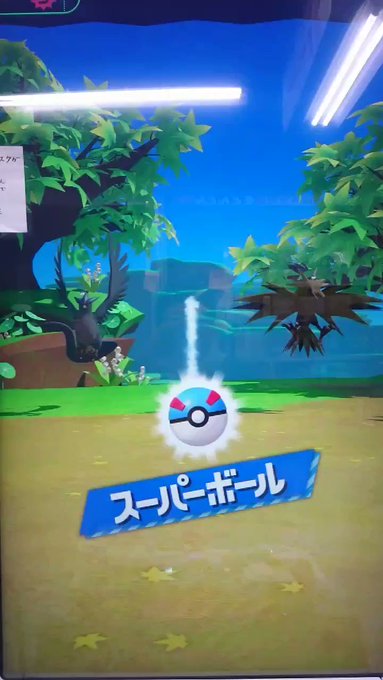 ポケモン ファイヤー にらみつける コピペ 美しい芸術