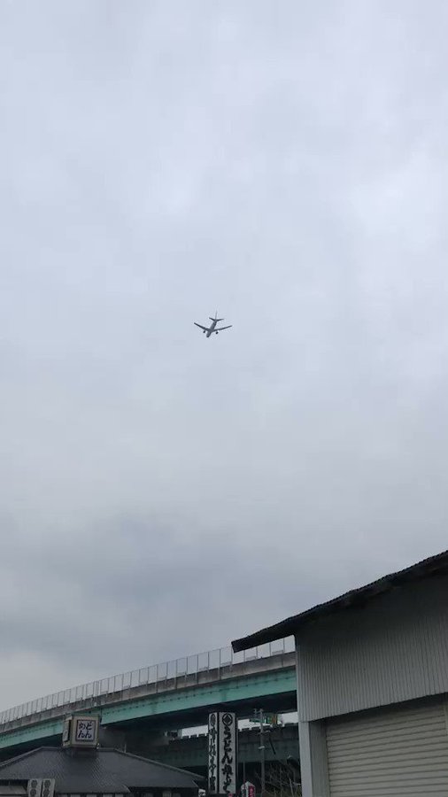埋め込み動画