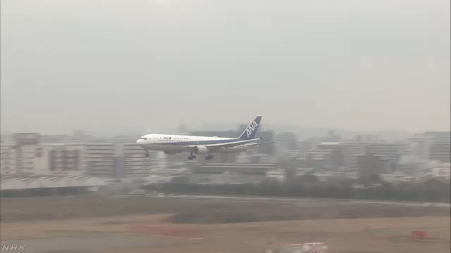 埋め込み動画