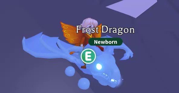 Adopt Me On Twitter Here S The New Frost Dragon In Action