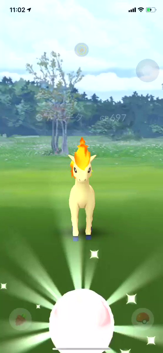 グレートな相棒 ボールアシスト機能が優秀 にゅっと出てくる相棒よ みんなのポケgo みんポケ