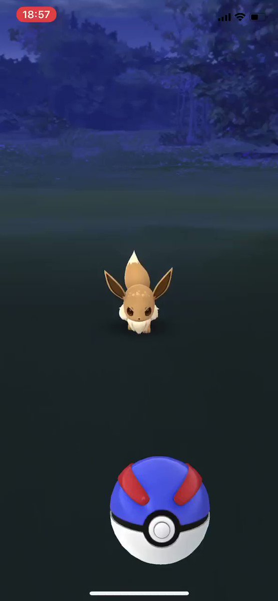 グレートな相棒 ボールアシスト機能が優秀 にゅっと出てくる相棒よ みんなのポケgo みんポケ