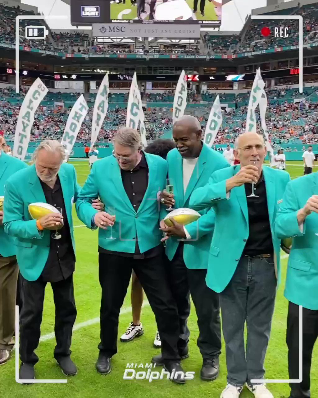 72 dolphins champagne