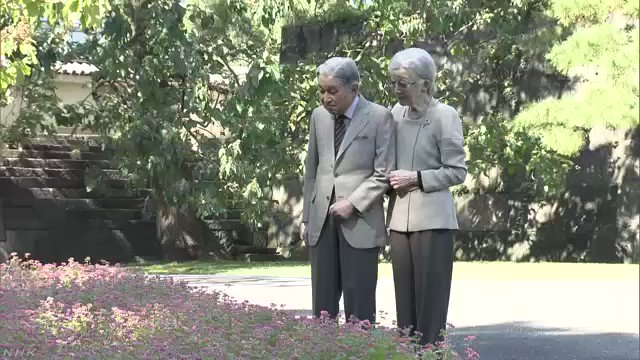 埋め込み動画