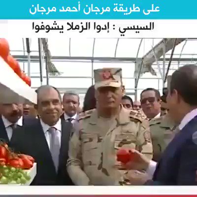 فيديو مُضمّن