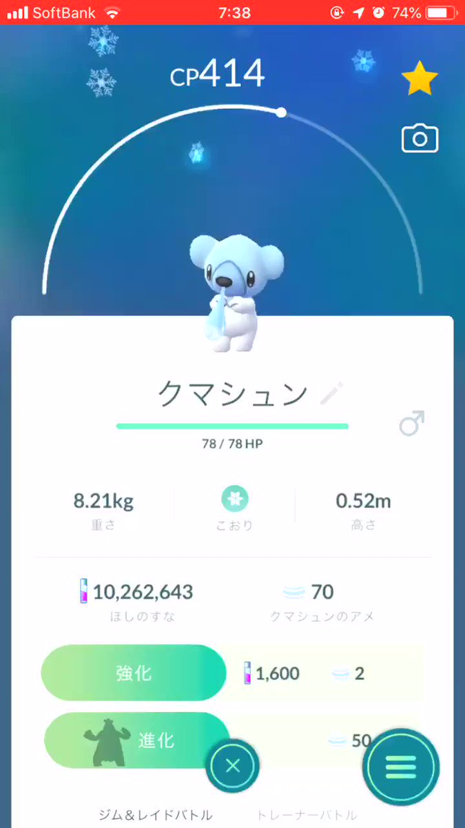 ポケモンgo ツンベアーがシロクマそのもの クマシュン大量発生で楽勝進化 ポケモンgo攻略まとめ速報