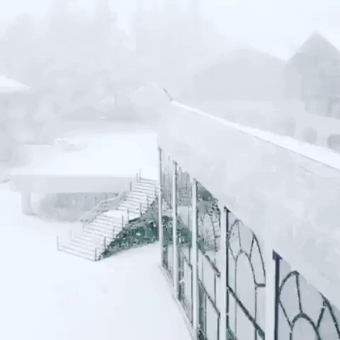 فيديو مُضمّن