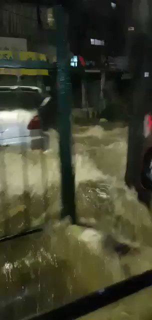 فيديو مُضمّن