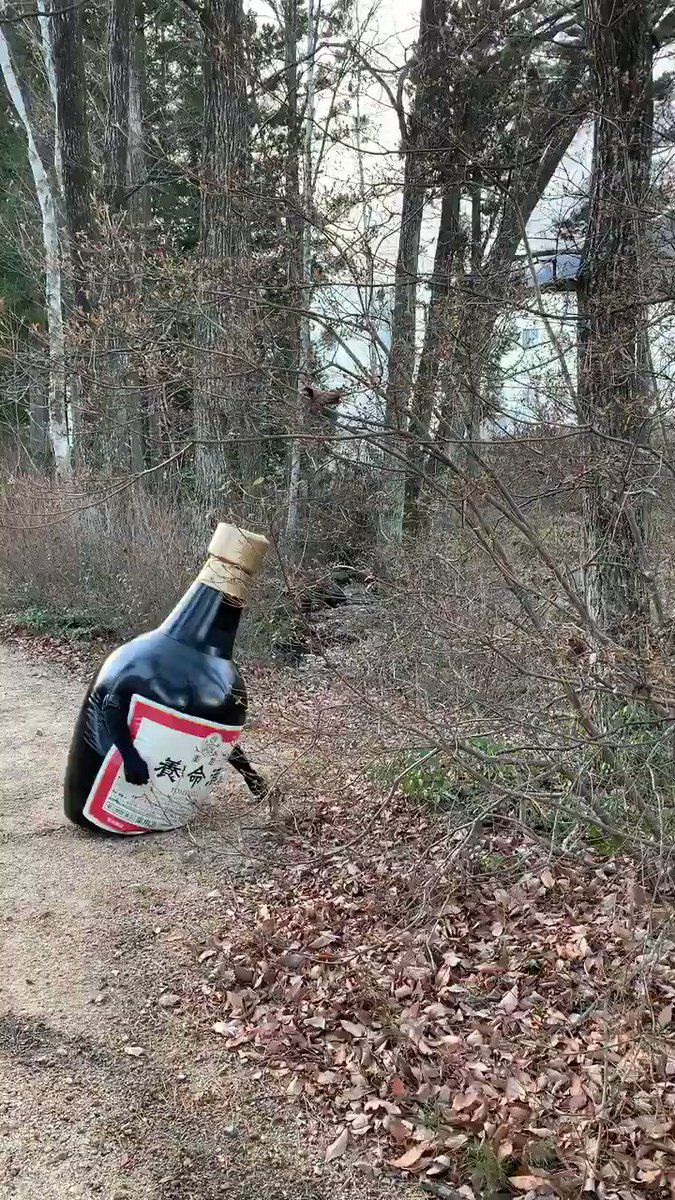 野生の養命酒が現れた！！！走り寄ってきた養命酒が手に持っていたモノとは・・・？