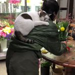 猫!?それともコアラ!?残業するお花屋さんのお手伝いをする生き物が愛おしすぎる