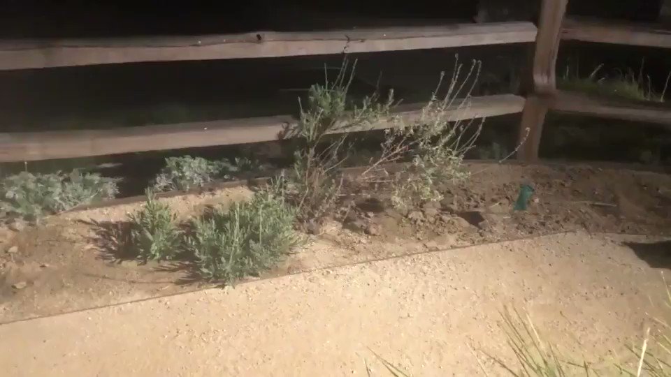 Quick Karen, blend in!
