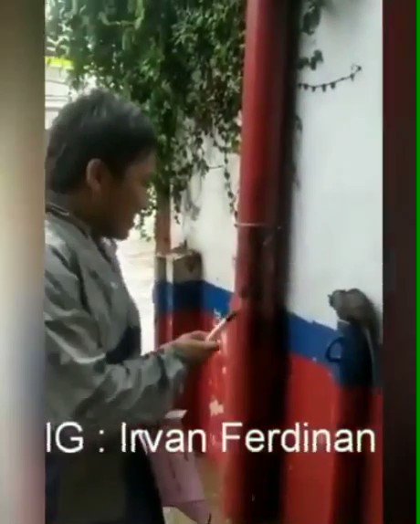 Embedded video