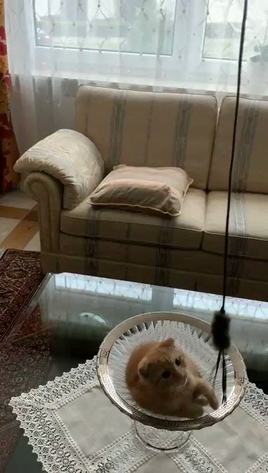 Встроенное видео