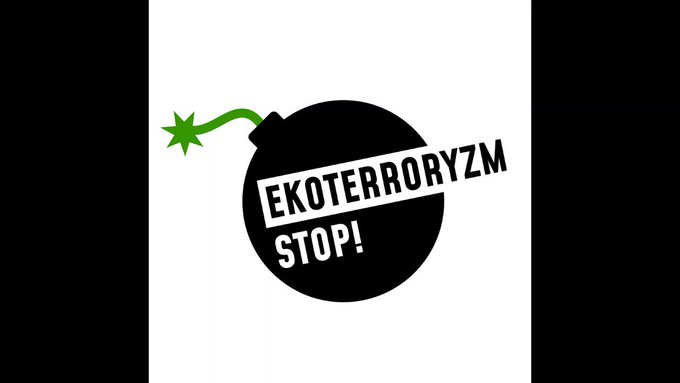 Embedded video