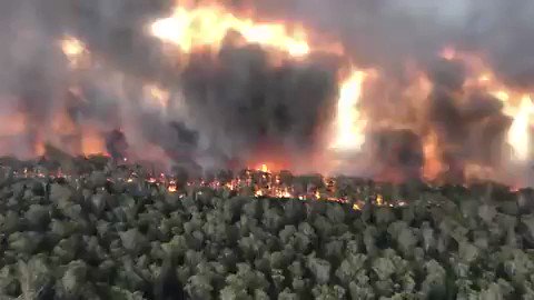 Ενσωματωμένο βίντεο