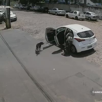 Video insertado