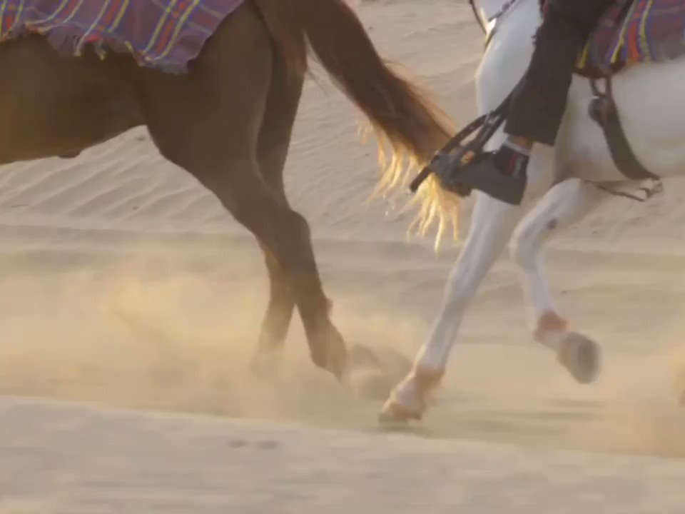 Stay at Al Bandar Rotana and go for a leisurely horseback ride while taking a spectacular tour in the largest reserve forest, inside Mushrif Park!
Book Now: https://t.co/3nwN1Inlhb
#rotanahotels #escape #horseriding #albandarrotana #mydubai https://t.co/ze8UX4bUPl
