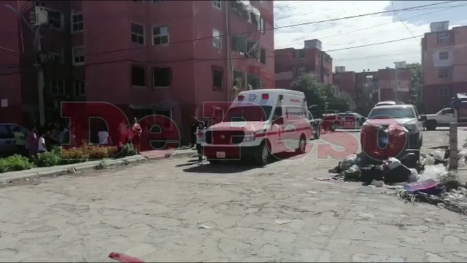 Video insertado