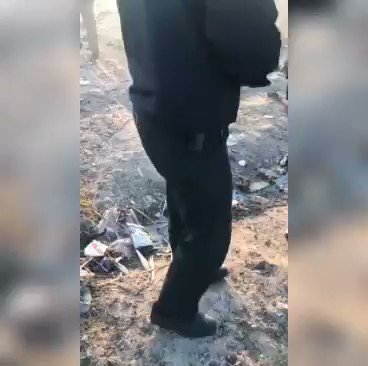 Embedded video