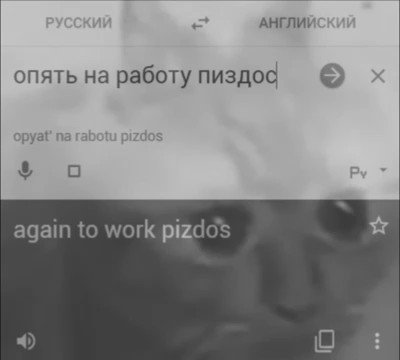 трави бобров по всей земле видео трави бобров по всей земле видео