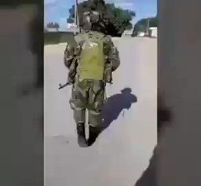 Embedded video