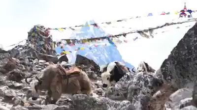 The beauty and richness of life blended together, Nepal is truly a once in a lifetime experience!#VisitNepal2020 #LifeTimeExperiences #OnceIsNotEnough #Nepal #ExperiencesNepal #NepalNOW #photoNepal #myght#DestinyTourOperators#Call9245456565
