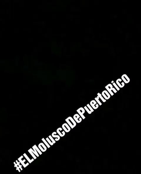 Embedded video