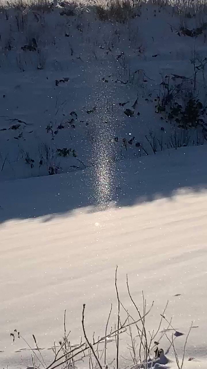 林祐介 北海道自然写真家 / Youtube27000人 (@ratok_7) / Twitter