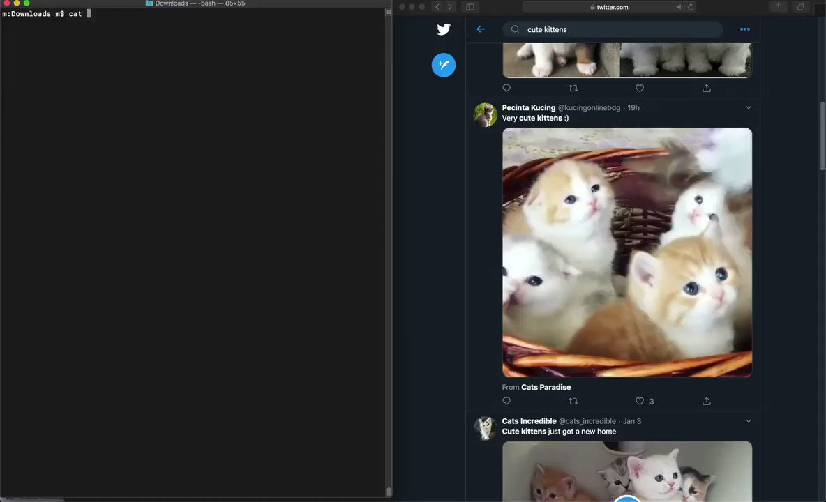 Twitter Giveaways Can Be Hacked To Win Every Time