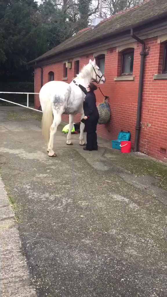 @LancsPolMounted's photo on hutton