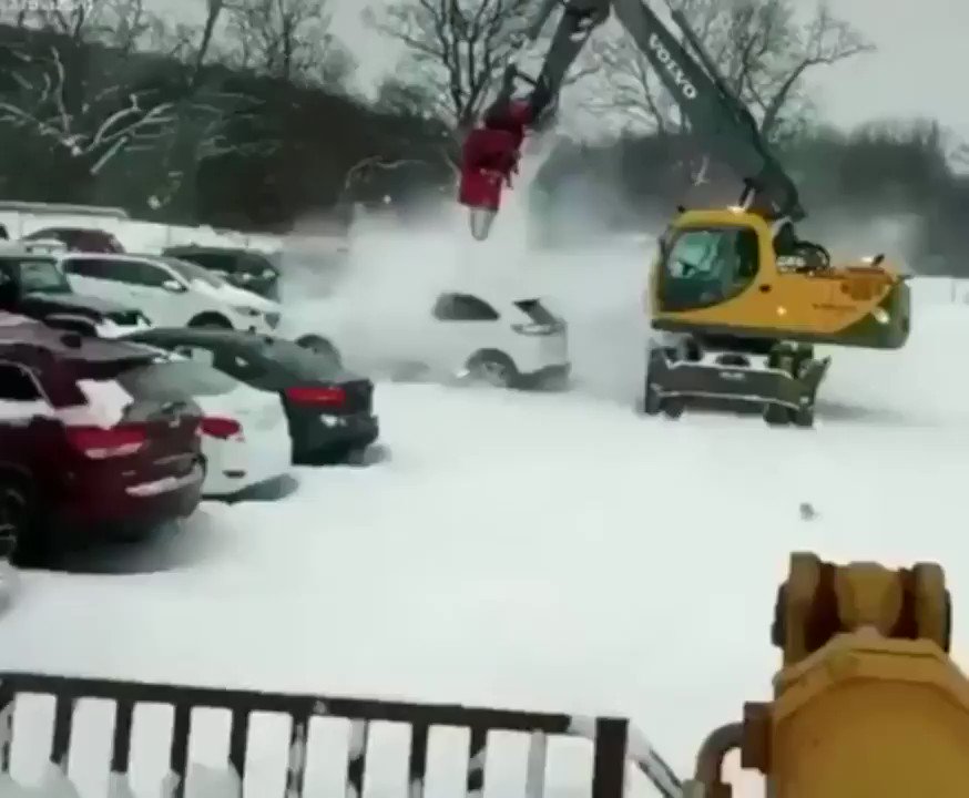 Universal Curiosity on Twitter