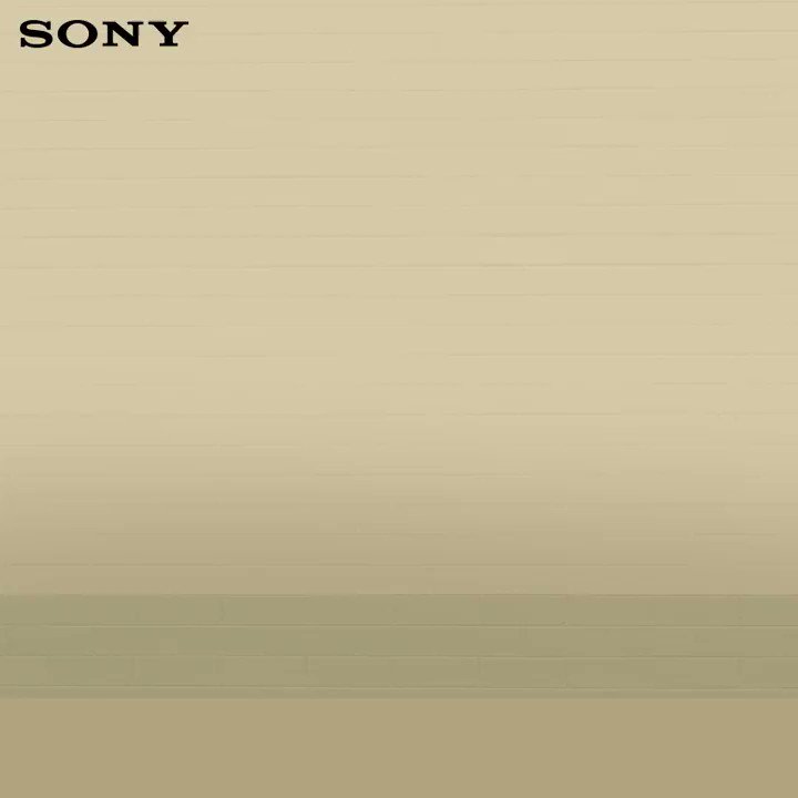Celebrate the harvest festival with joy and soar high with happiness. Sony wishes all a very happy #Lohri , #Pongal , #MakarSankranti , and #uttarayan .