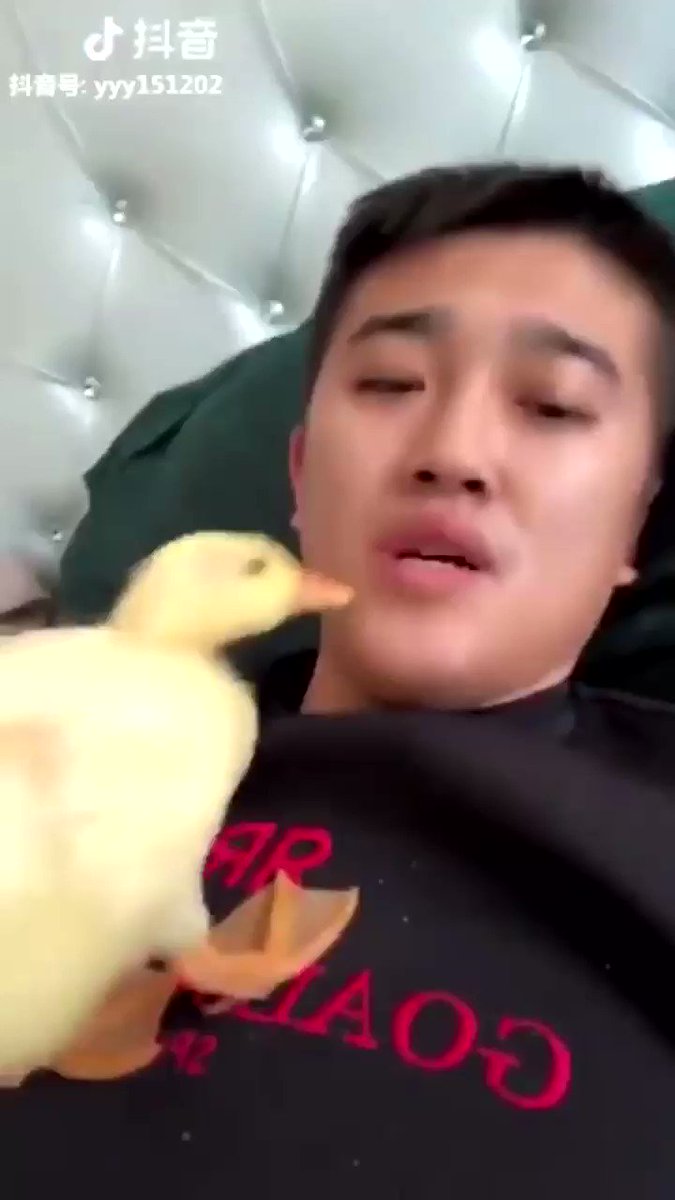メンヘラ撲滅ウサビッチ Usa0121 Twitter メンヘラ撲滅ウサビッチ Usa0121 Twitter